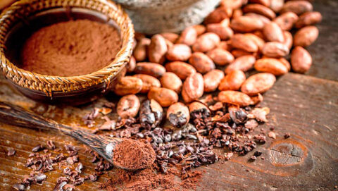 Cacao powder in Chocolate and cofee experience