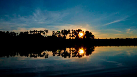 Sunrise in Peruvian jungle, Peruvian amazon