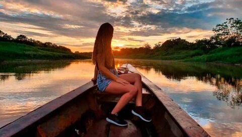 Sunset in Peruvian jungle, peruvian wildlife