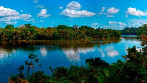 Tambopata River in Peruvian jungle