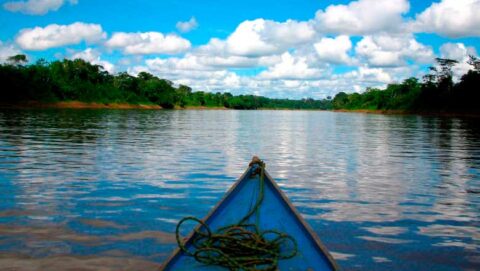 Navigating the Amazon River, Peru wildlife