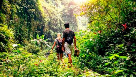 walking in the Peruvian rainforest