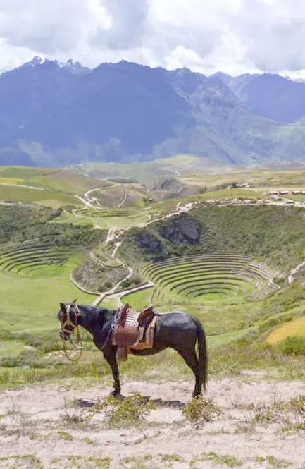 HORSEBACK RIDING AT SALINERAS, MARAS, AND MORAY IN CUSCO