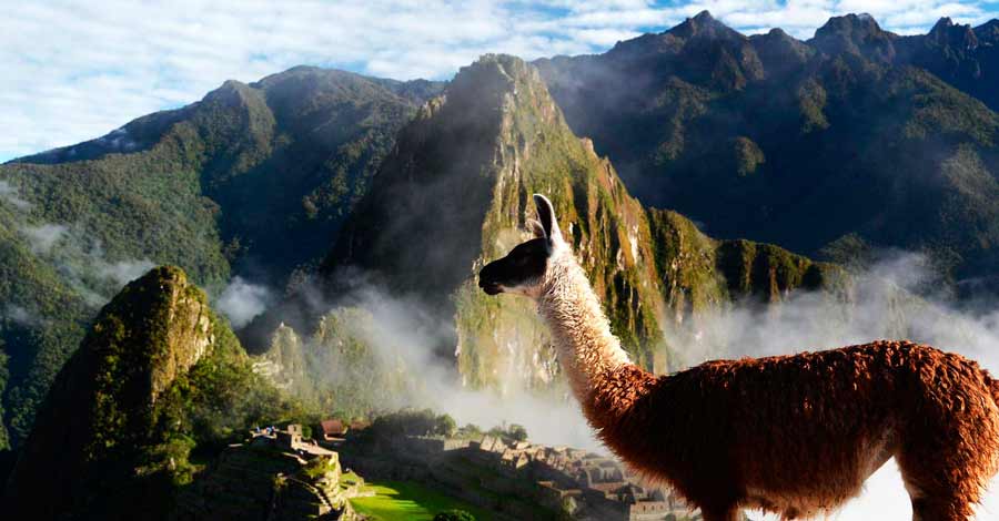 Machu Picchu facts in 2022