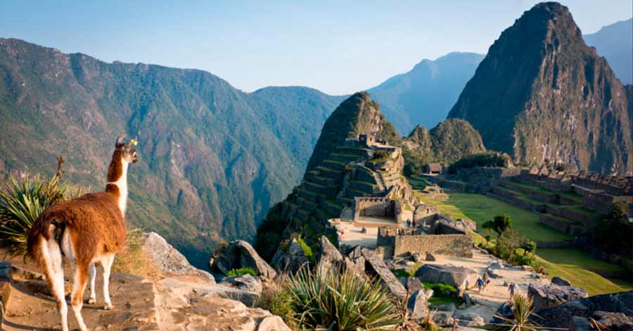 Lama in Machu Picchu, Machu Picchu facts