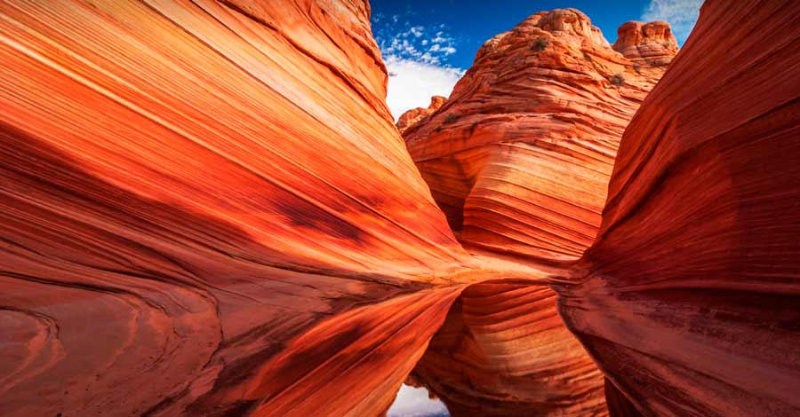 The Wave in United States, Auri Peru