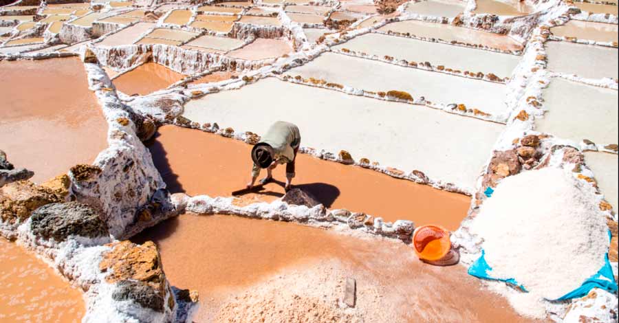 Collecting Salt mines in Maras Auri Peru