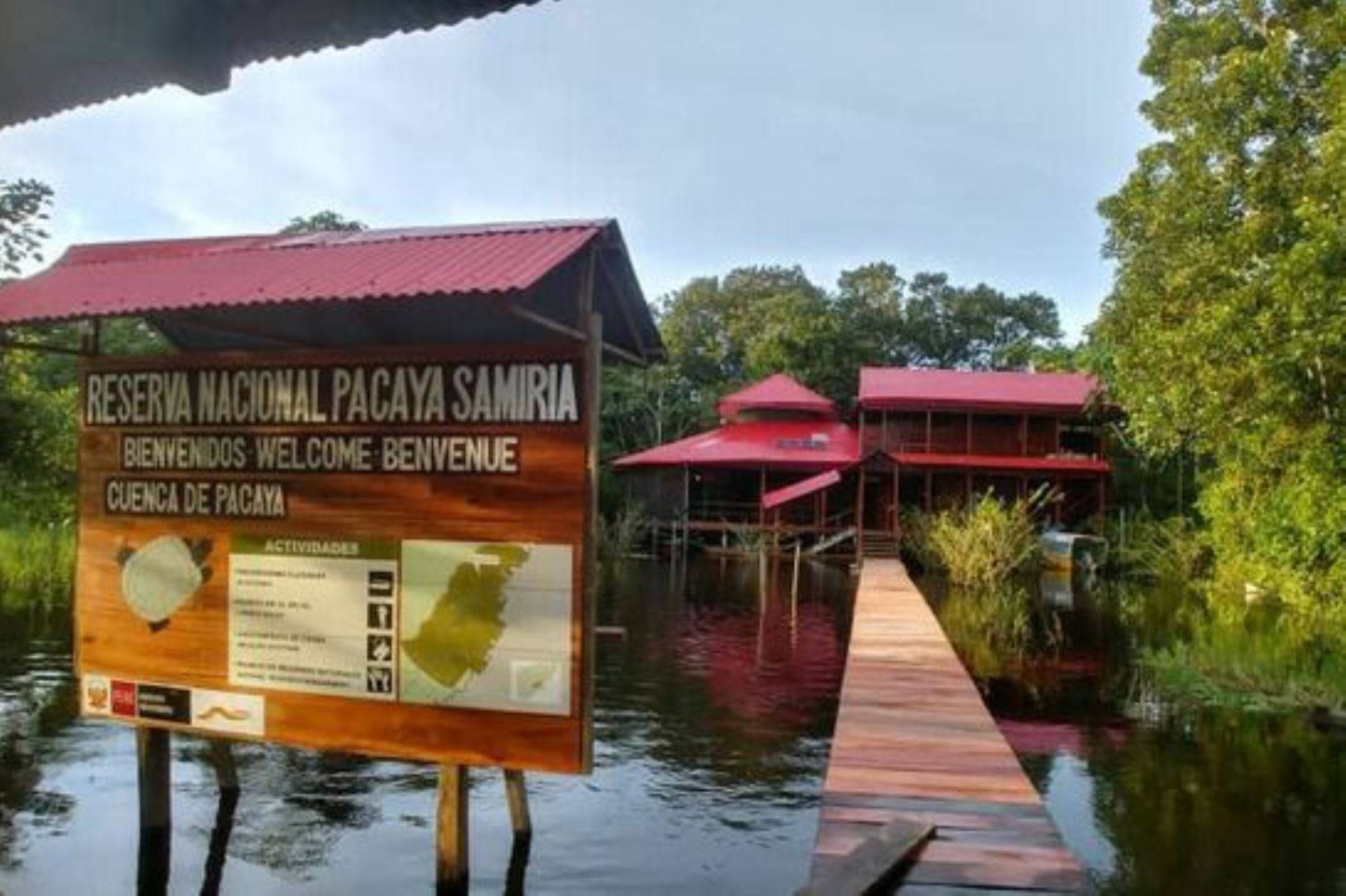 Pacaya Samiria in the peruvian Amazon