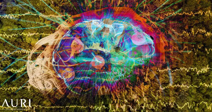 Ayahuasca Healing, effects on brain