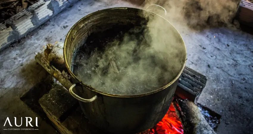 Preparation of Ayahuasca in a boiling pot