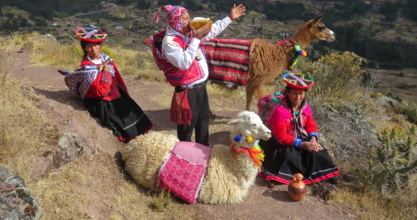 llama trekking