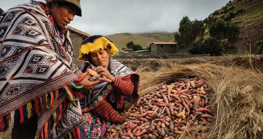 potato park a Hidden Gems of Cusco