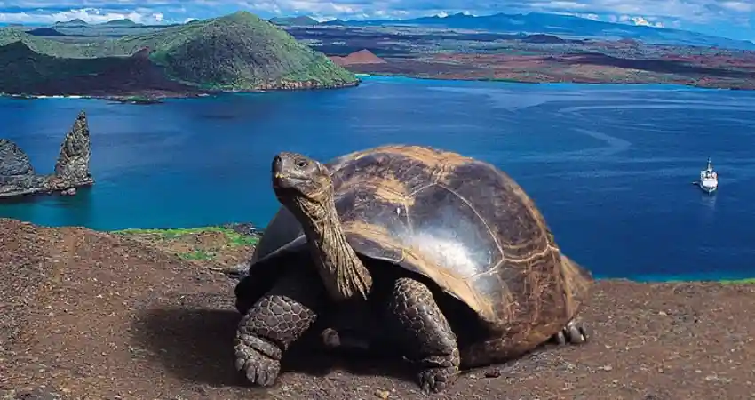 Luxury Galapagos And Machu Picchu Tours FAQ