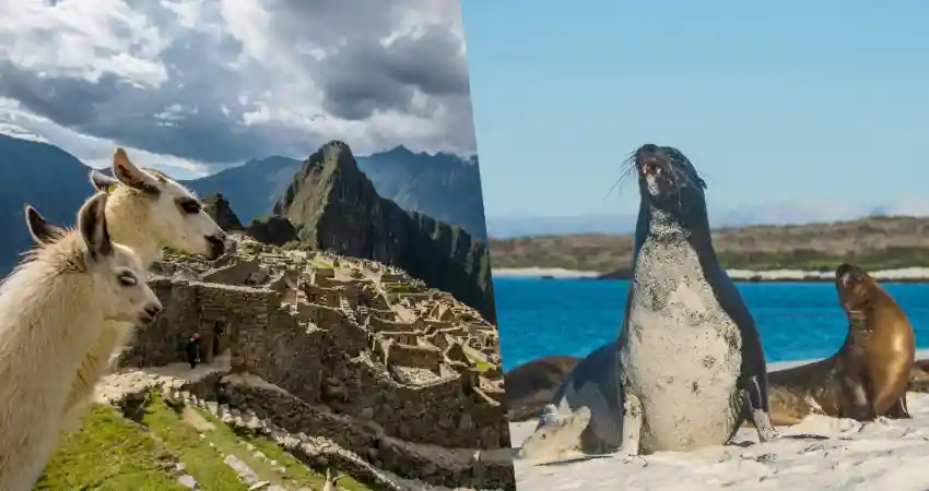 Luxury Galapagos and Machu Picchu Tours down