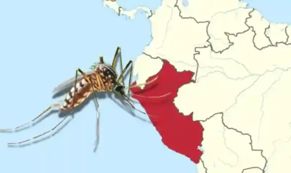 Mosquitoes In Peru: What Every Traveler Needs To Know