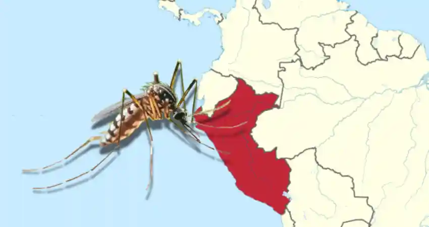 A mosquito is positioned on a map of Peru, highlighting the presence of mosquitoes in the region.