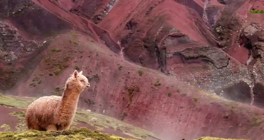 Red Valley Cusco FAQ