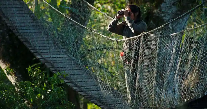 luxury amazon tour peru inkaterra reserva amazonica