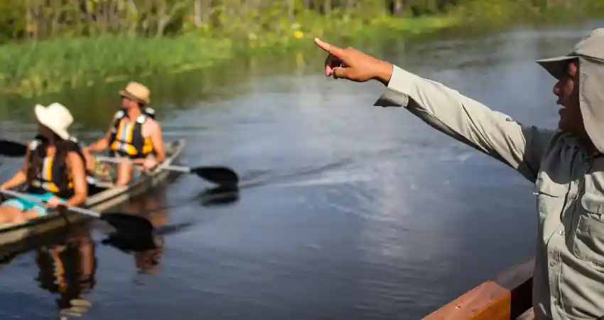 Delfin Amazon Cruises Peru 