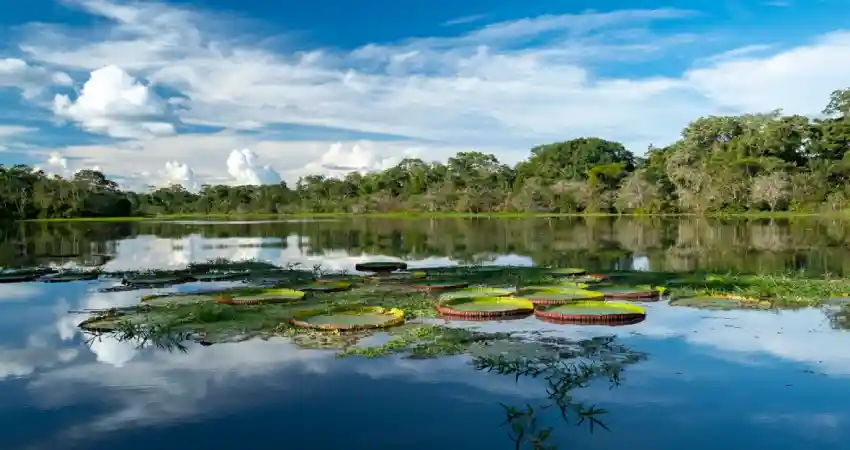 Pacaya Samiria National Reserve Tours