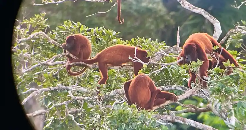 Refugio Amazonas Lodge FAQ