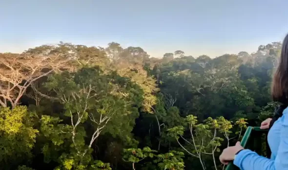 Refugio Amazonas Lodge: Your Gateway To Peru’s Amazon Rainforest Adventure