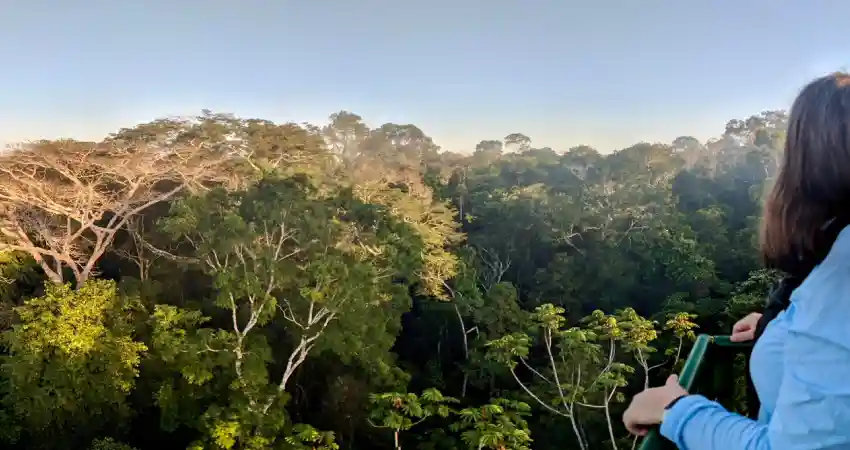 A woman stands on a bridge at Refugio Amazonas Lodge, gazing at the lush trees surrounding her.