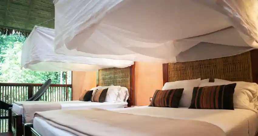 Two beds with white sheets and pillows in a cozy room at Refugio Amazonas Lodge.