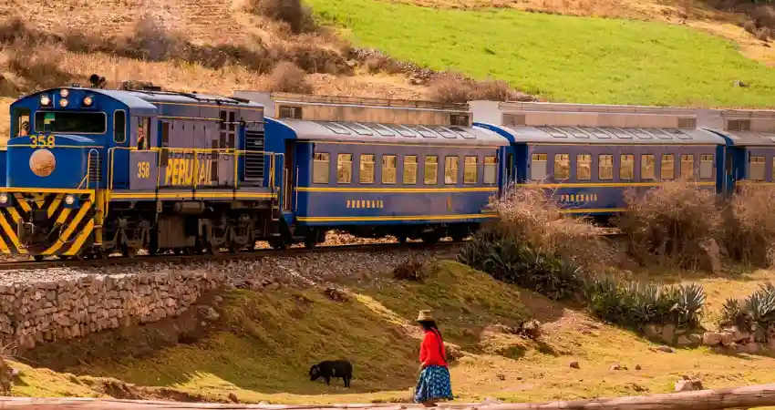 Train to Machu Picchu from Sacred Valley 