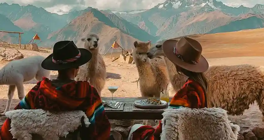 Where to see llamas in Cusco FAQ