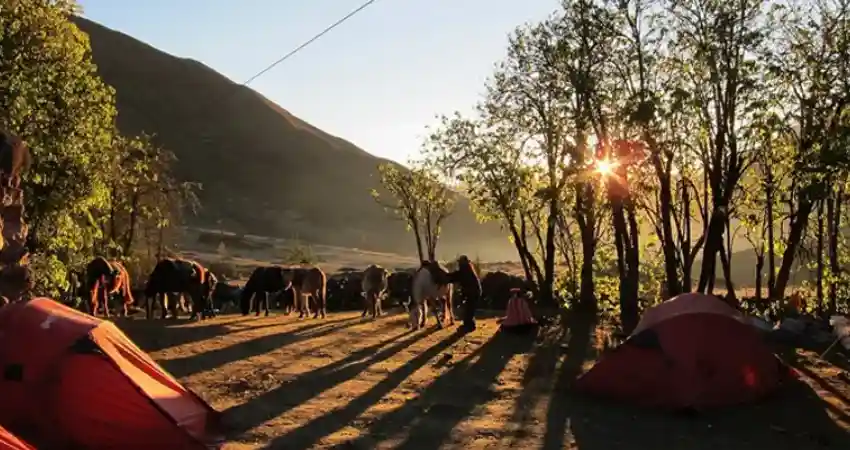 lares luxury trek in peru ypsaycocha high camp