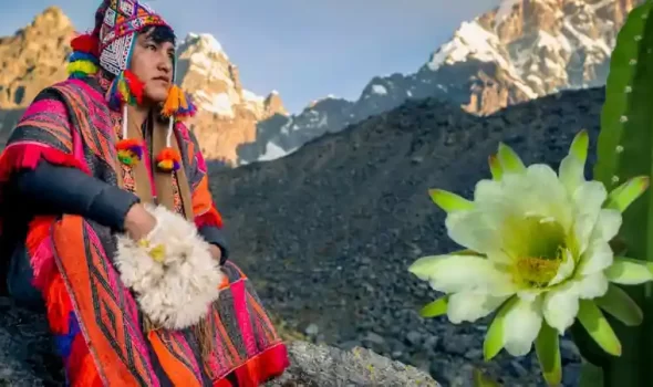 Peru San Pedro Ceremony: Complete Guide To Sacred Cactus Healing Rituals
