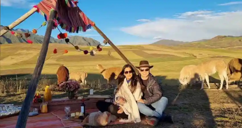 A couple enjoys a picnic in Cusco, sitting in front of a tent with two llamas nearby.