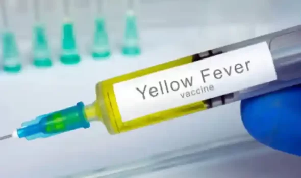 Do I Need Yellow Fever Shot For Peru? Complete Vaccination Guide For Travelers 2025