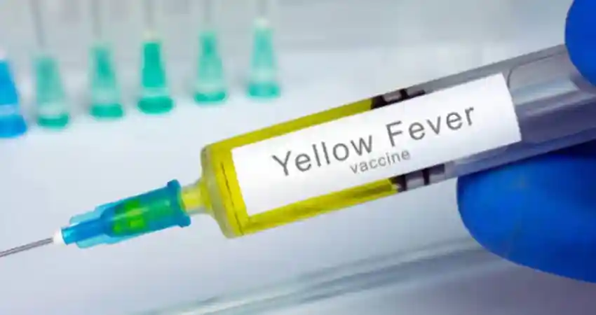 A person holds a syringe containing a yellow fever vaccine, highlighting its importance for travel to Peru.