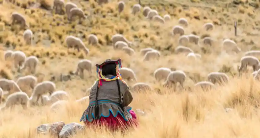 Best Travel agent for family luxury trip to Peru unique