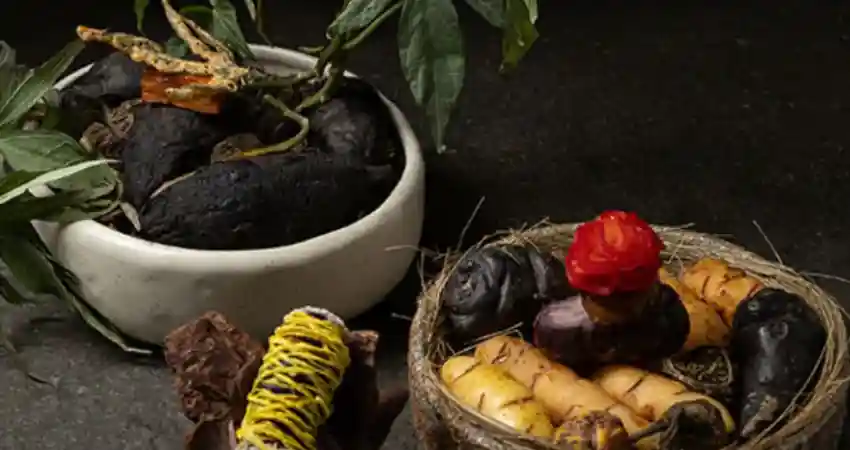 Mayta Restaurant Lima 