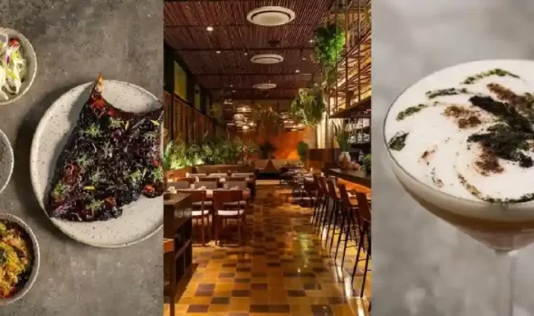 Mayta Restaurant Lima: A Complete Guide To Peru’s World-Renowned Culinary Gem