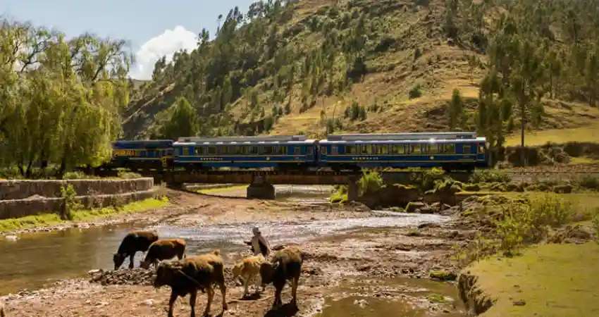 Peru luxury train cost 