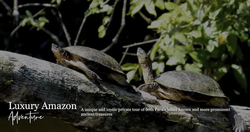 luxury amazon adventure