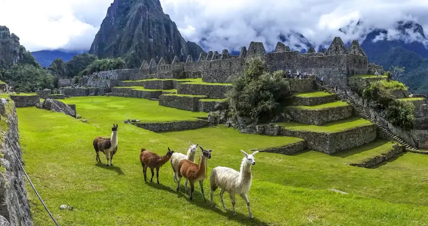 Machu Picchu circuit 2 FAQ