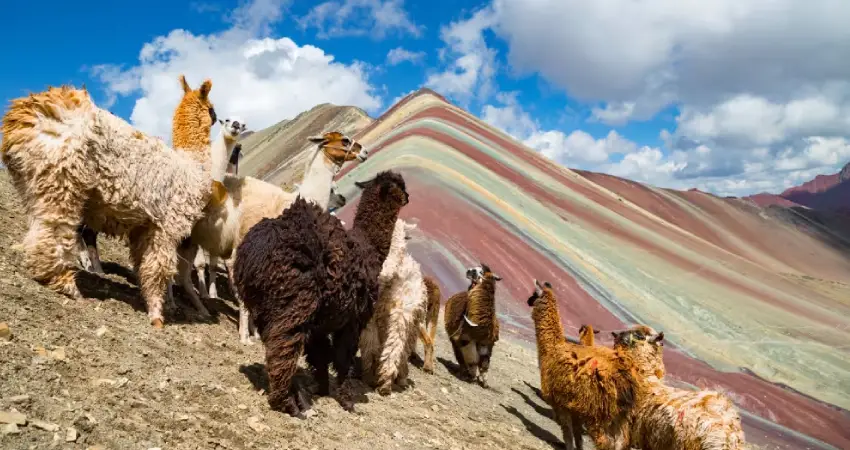 Luxury Peru Vacations FAQ