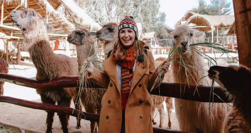 luxury peru vacations cusco