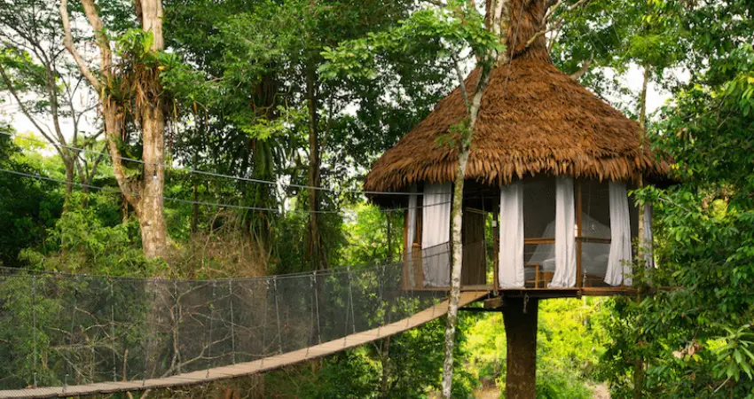 luxury peru vacations jungle