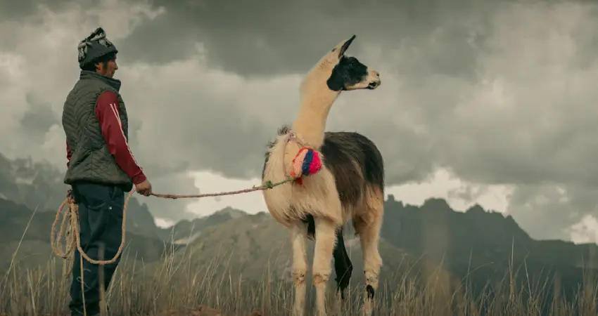 Luxury Peru Itinerary FAQ