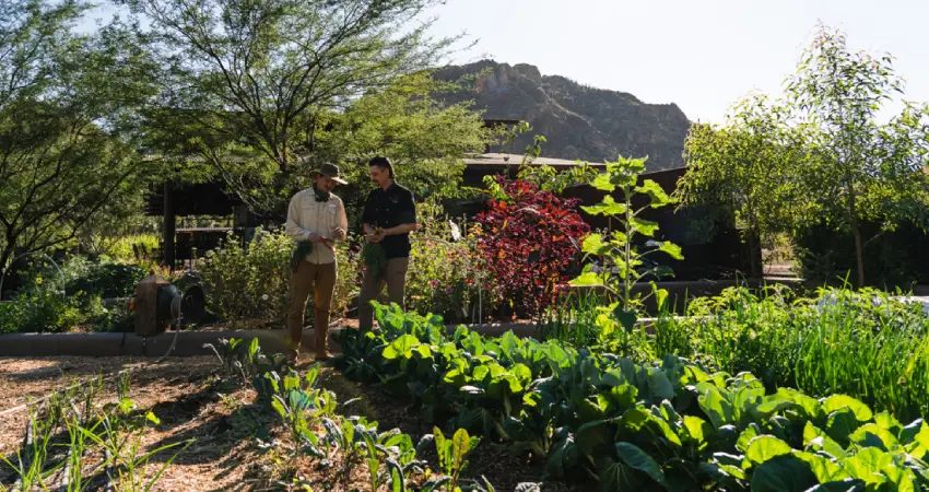 luxury travel to peru from the garden to the table