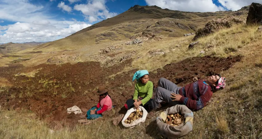 Potato Park Peru FAQ