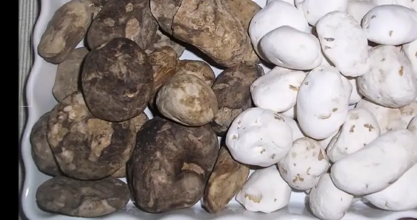 potato park peru chuno and moraya