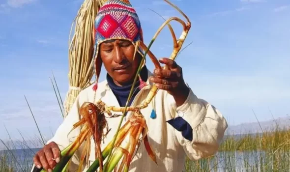 Tailor Made Peru Tours: Design Your Perfect Journey From Start To Finish