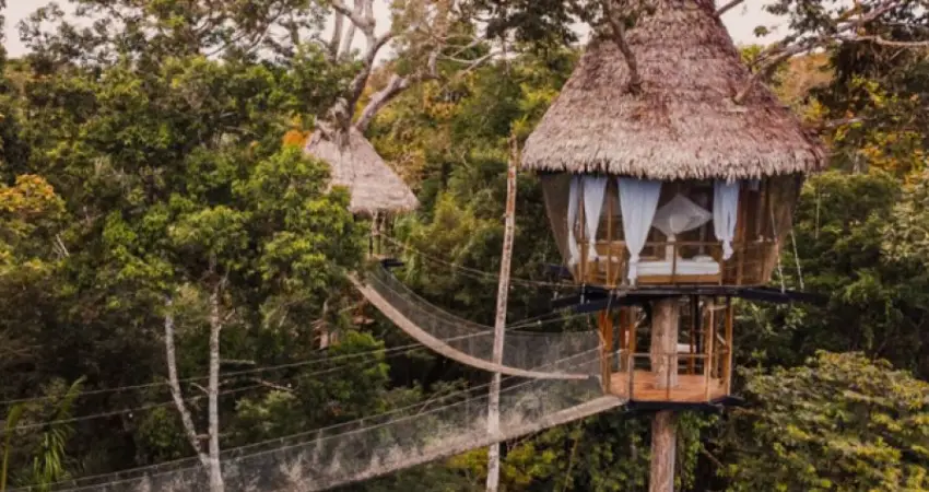 Treehouse Lodge Peru casa alta